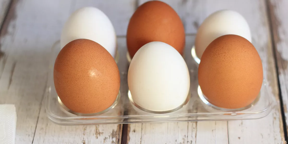 Раскрыт неожиданный секрет: почему коричневые яйца дороже белых